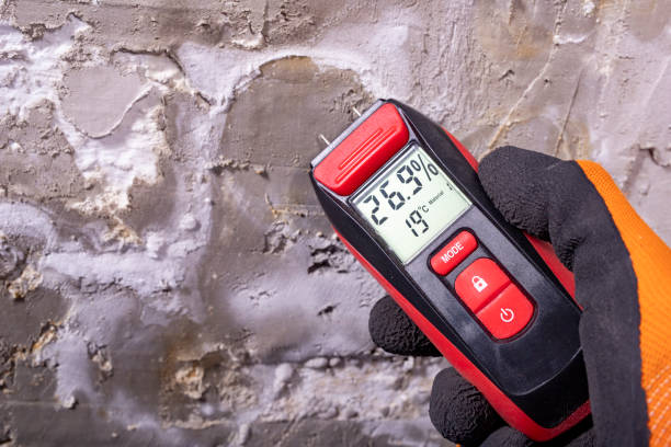 Best Office Mold Removal Services  in Clear Lake, WA