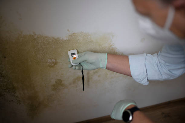 Best Black Mold Removal  in Clear Lake, WA