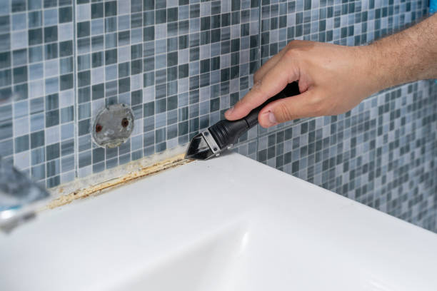 Best Mold Remediation  in Clear Lake, WA