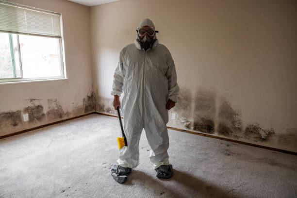 Best Mold Testing  in Clear Lake, WA
