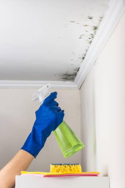Best Residential Mold Removal  in Clear Lake, WA