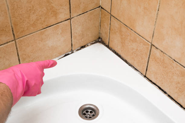 Best Emergency Mold Removal  in Clear Lake, WA
